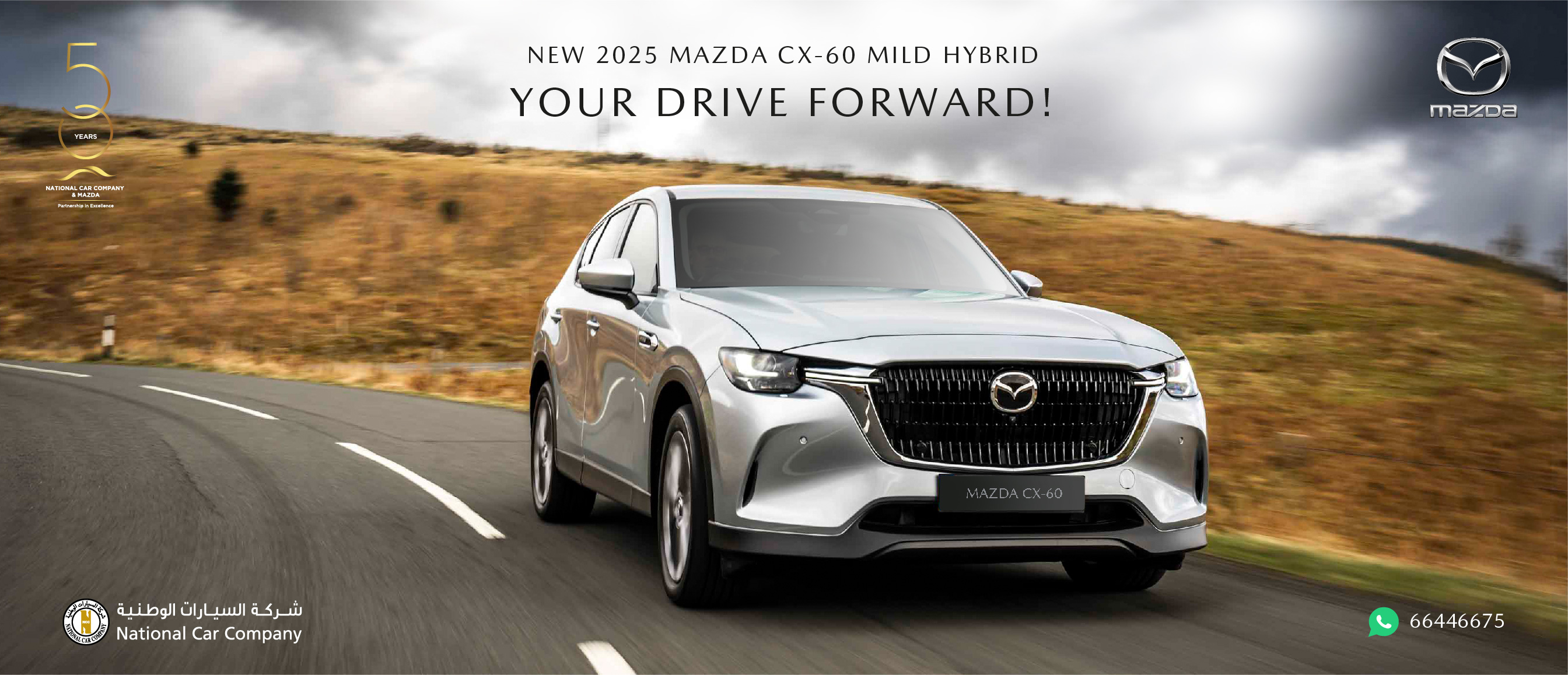 new-promo-2025